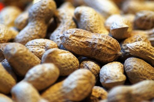 6 Tips Rebus Kacang Tanah agar Cepat Empuk, Taburkan Garam