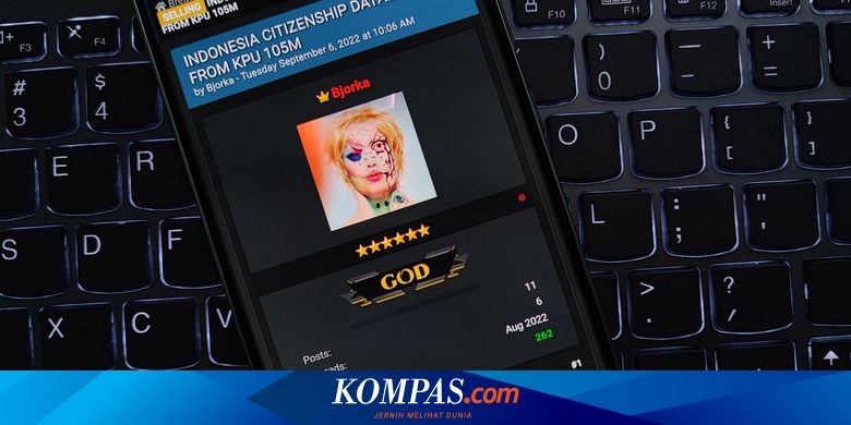 Serangan Siber Bjorka dan Kebocoran Data, Tanggung Jawab Siapa? - Vimarsana News