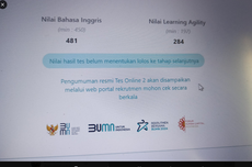 Nilai Tes Online Tahap 2 Rekrutmen Bersama BUMN 2024 di Atas Standar Belum Tentu Lolos, Apa Pertimbangan Lainnya?