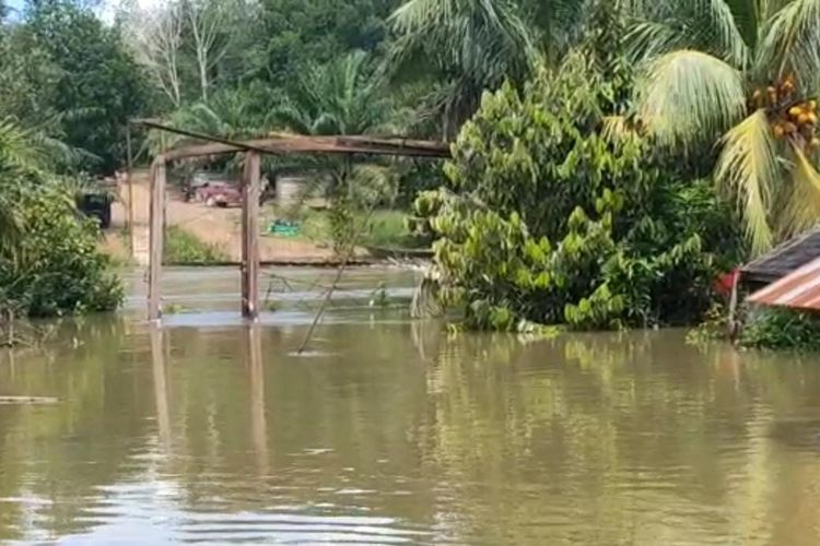  Sebuah jembatan gantung di Desa Sengkuang Merabung, Kecamatan Manis Mata, Kabupaten Ketapang, Kalimantan Barat (Kalbar) ambruk diterjang banjir yang semakin meninggi. Kepala Desa Sengkuang Merabung kecamatan Manis Mata, Pensensius Misih mengatakan, jembatan ini menjadi penopang kehidupan masyarakat.