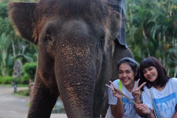 Peserta liburan gratis ke Bali TakeMeAnywhere berfoto dengan gajah di Elephant Safari Park, Desa Taro, Gianyar. 