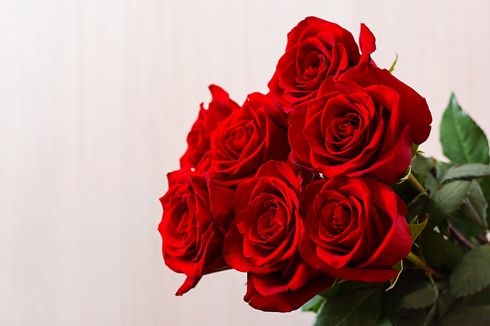 Tak Selalu Tentang Cinta, Ini 5 Arti Bunga Mawar Merah yang Sering Dijadikan Hadiah untuk Pasangan