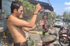 Viral, Video WNA di Bali Beli Burung dan Dilepasliarkan, BKSDA: Sangat Terpuji