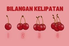 Bilangan Kelipatan: Pengertian dan Contohnya