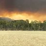 Sambaran Petir Picu Kebakaran 34.000 Hektare Lahan di Australia