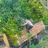 Truk Tabrak Rumah Warga di Kabupaten Manggarai, Sopir Tewas