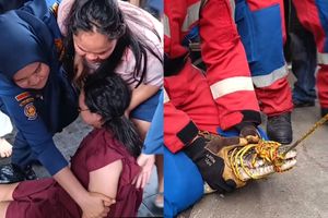 Tangis Pemilik Pecah Saat Coki, Buaya Peliharaan 2,5 Meter di Bandar Lampung Dievakuasi