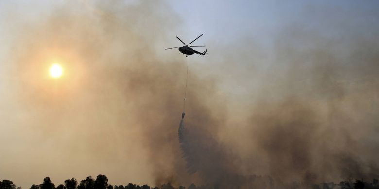 Membuat artikel tentang dampak kebakaran hutan terhadap sistem pernapasan manusia