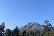 Wisatawan Dipalak di Perkebunan Teh Lereng Gunung Sindoro