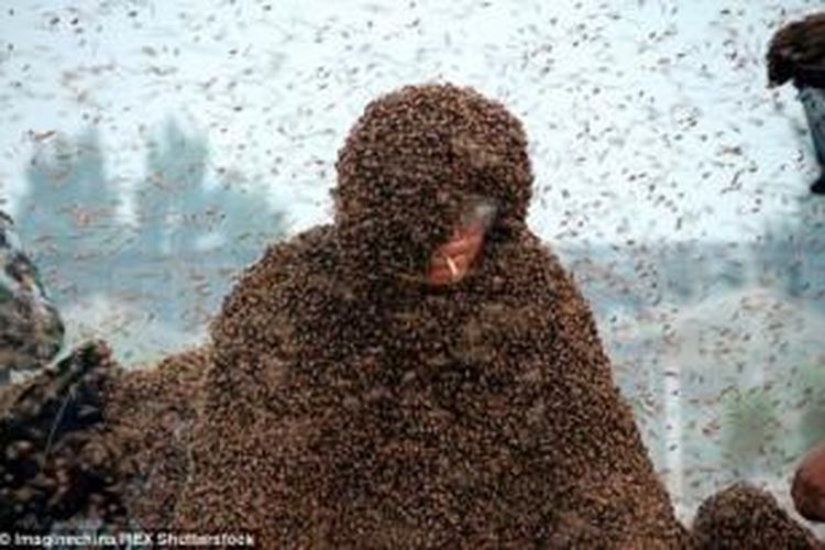 Meski tubuhnya dikerumuni lebih dari satu juta ekor lebah, Gao Bingguo masih sempat mengisap sebatang rokok.