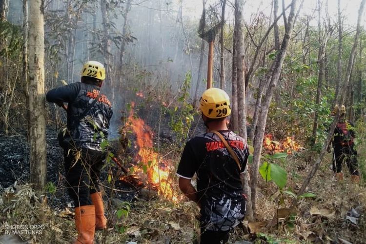 3 Hektar Hutan Rakyat Terbakar di Magetan, Berawal dari Aktivitas Pembukaan Lahan