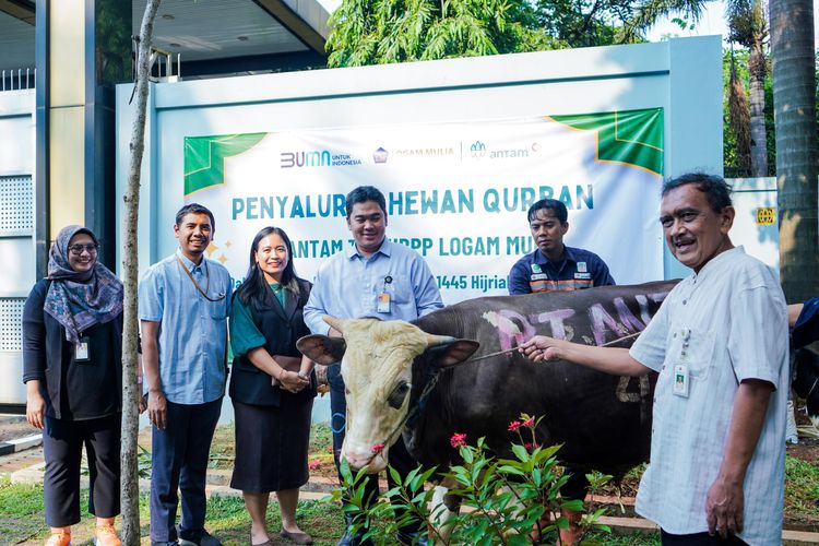 PT Aneka Tambang Tbk atau Antam menyalurkan sebanyak 238 hewan kurban sebagai bagian dari program  tanggung jawab sosial dan lingkungan (TJSL)