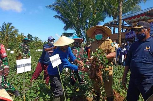 Cerita Bupati Maluku Tengah dan Istri Jadi Petani Selama Masa Pandemi, Hasil Panen Dibagi ke Masyarakat