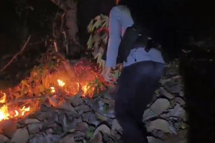 Kebakaran Lahan di Mamuju Dekati Permukiman, Petugas Gabungan Disiagakan di Lokasi
