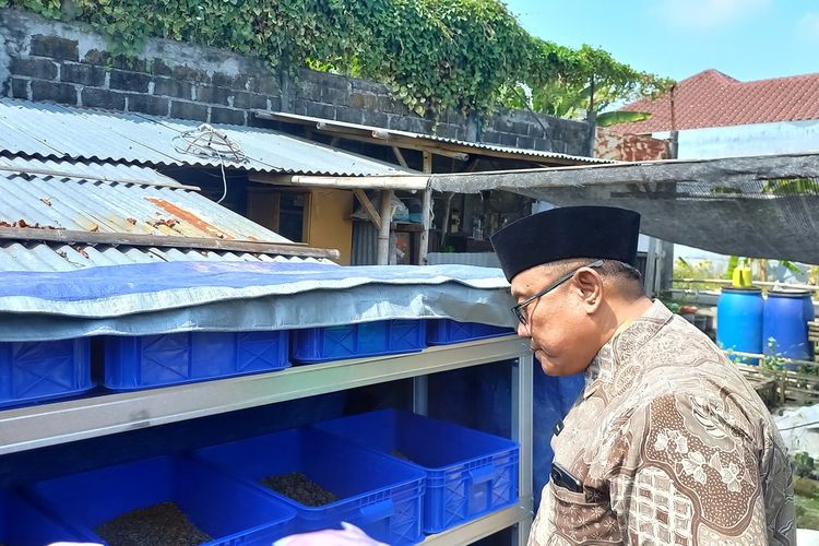 Sekretaris Daerah (Sekda) Kota YOgyakarta Aman Yuriadijaya saat tinjauan proses pengolahan sampah menggunakan maggot, Selasa (26/7/2023)