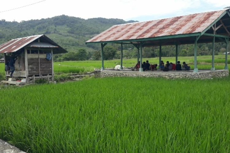 Dua unit pondok di tengah sawah ini menjadi tempat para pelajar di Kel;urahan Padang lambe, Kecamatan wara Barat, Kota Palopo, Sulawesi Selatan belajar secara daring, hanya di lokasi ini warga dapat mengakses internet, Senin (14/09/2020)