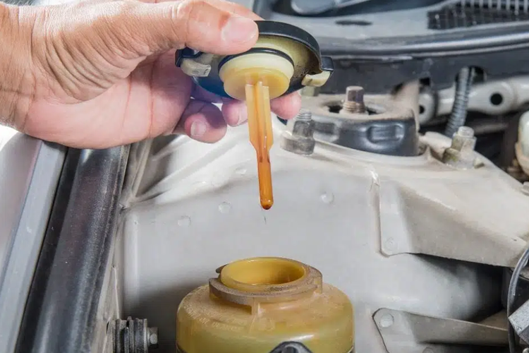 Ilustrasi oli power steering.