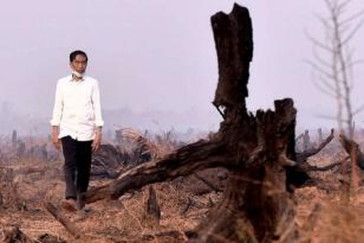 Presiden Joko Widodo meninjau lahan yang terbakar di Banjarbaru, Kalsel.