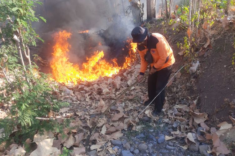 Foto: Para relawan ketika memadamkan api dengan cara manual di Hutan Jati Kecamatan Panarukan, Kabupaten Situbondo, Provinsi Jawa Timur pada Selasa (5/9/2023).