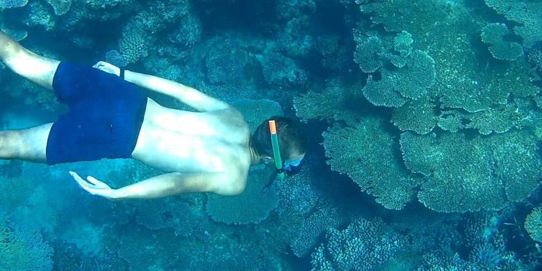 Gambar Pemandangan Dalam Laut Yang Indah - Suka Menyelam Atau Snorkeling Kunjungi Wisata Bawah Laut Terbaik Di Asia Tenggara Ini Reddoorz Blog : Berikut 18 lokasi yang memiliki pemandangan alam indah dan salah satu lokasi di indonesia yang menghasilkan gambar pemandangan yang indah adalah anak gunung krakatau.