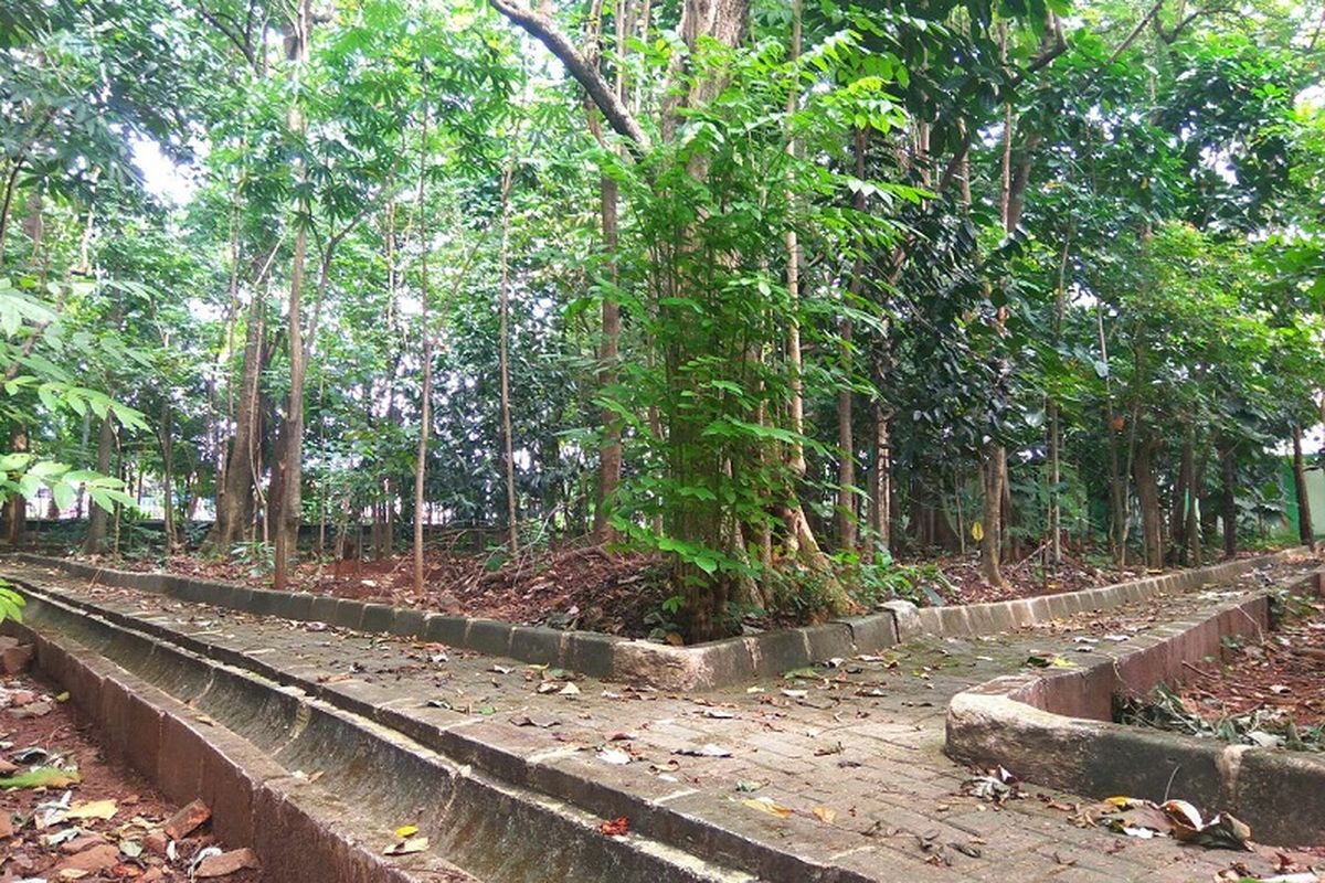 Kondisi Hutan Kota Dukuh di Jalan Raya Pondok Gede, Kramat Jati, Jakarta Timur, yang tidak terawat, Senin (8/1/2018).