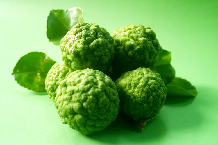 Ilustrasi jeruk purut.