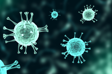 Mengenal Penyakit Infeksi Arbovirus, Berikut Penyebab dan Gejalanya