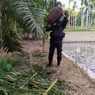 Petani di Aceh Utara Temukan Pelontar Bom, Diduga Masih Aktif