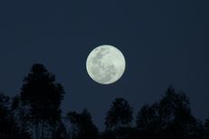 Bulan Disebut Mulai Menjauh dari Bumi, Kecepatannya Setara dengan Pertumbuhan Kuku Manusia
