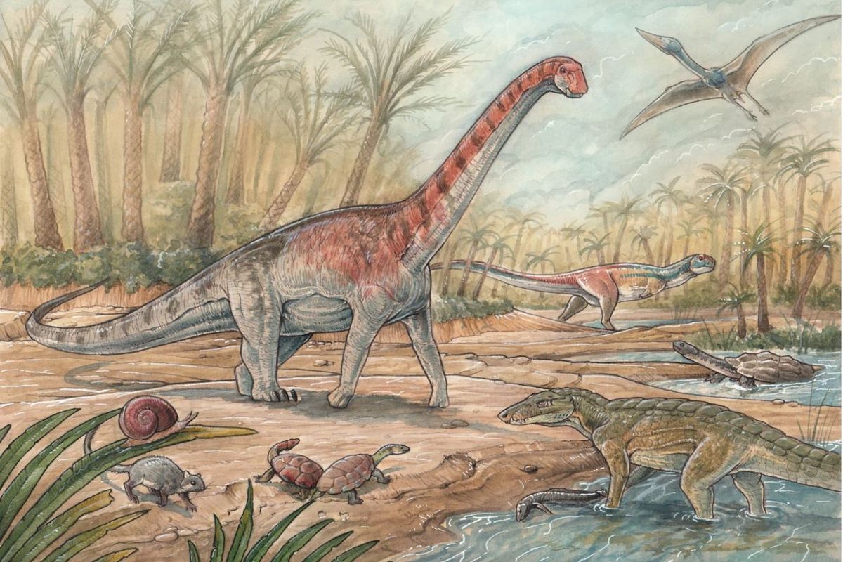 Ilustrasi pemandangan prasejarah di tepi sungai di Patagonia, di mana dinosaurus berleher panjang terlihat di samping siput, kura-kura, dan dinosaurus mirip buaya.
Ratusan fosil yang ditemukan di sebuah tambang di Patagonia Utara memberikan gambaran tentang seperti apa ekosistem kolam gurun pada akhir periode Kapur. Para peneliti menemukan spesies titanosaurus yang belum ditemukan sebelumnya (diilustrasikan di atas) di antara fosil makhluk lainnya di situs tersebut.