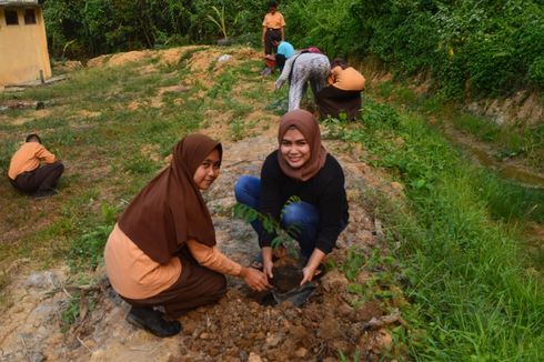 Menteri LHK: Idealnya Seorang Tanam 25 Pohon, Bisa Dimulai Sejak SD