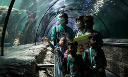 Dompet Dhuafa Gandeng DDV Ajak 200 Anak Yatim Eduwisata ke Sea World dan Ocean Dream