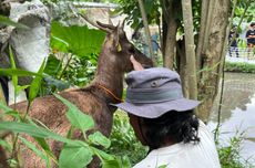 Wisatawan Datangi Malioboro Tembus 100.000 Orang per Hari, Puncak Kepadatan Diprediksi Besok