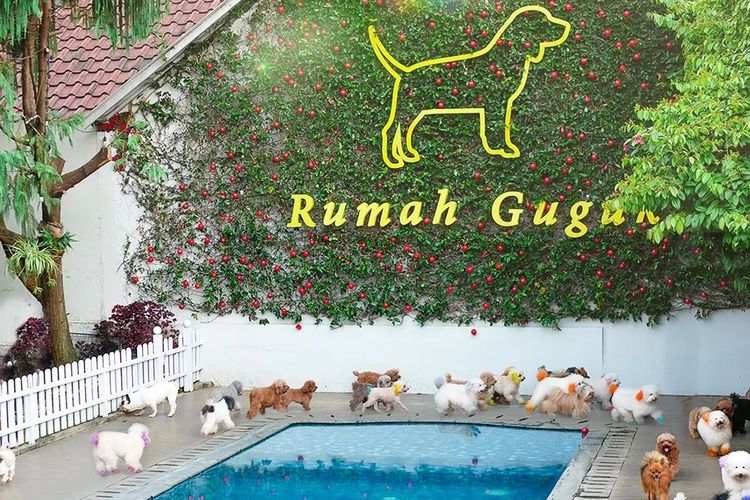 Rumah Guguk Bandung, salah satu tempat wisata ramah hewan peliharaan di Bandung.