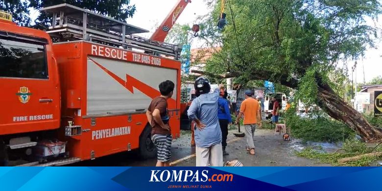 Pulang Padamkan Kebakaran, Mobil Damkar Tabrak Pohon, 1 Tewas dan 4 Kritis - Vimarsana News