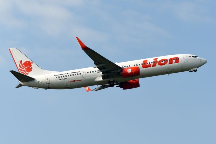 Ilustrasi pesawat Boeing 737-900ER yang dioperasikan oleh Lion Air. 