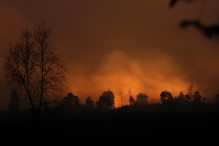 Api membakar hutan dan lahan gambut di jalan Gubernur Syarkawi, Kabupaten Banjar, Kalimantan Selatan, Selasa (15/10/2019). Susahnya akses menuju tempat kebakaran hutan dan lahan (karhutla) serta Kencangnya angin di lokasi lahan yang terbakar membuat kebakaran cepat meluas dan petugas sulit untuk memadamkan kebakaran tersebut.ANTARA FOTO/Bayu Pratama S/hp.