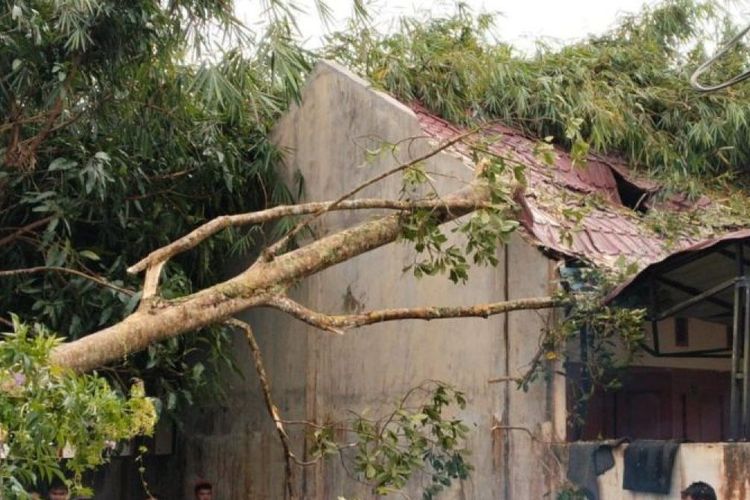 BPBD Taput Catat Kerusakan 29 Rumah Akibat Cuaca Ekstrem di Tapanuli Utara