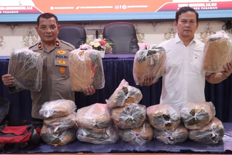 Polisi Tangkap Kurir Narkotika di Bawah Umur dengan 16 Kg Ganja di Pasaman
