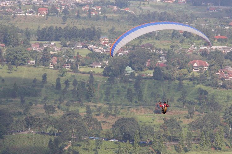 Pengunjung mencoba terbang dengan paralayang dari Bukit 250, Perkebunan Teh Gunung Mas di Cisarua, Kabupaten Bogor, Jawa Barat, Jumat (4/4/2013).