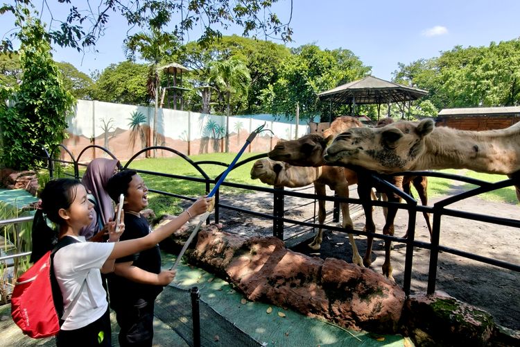 Cara Eri Cahyadi Bongkar Dugaan Korupsi Rp 8 Miliar di KBS, dari Audit BPK hingga Eks Dirut Ditahan