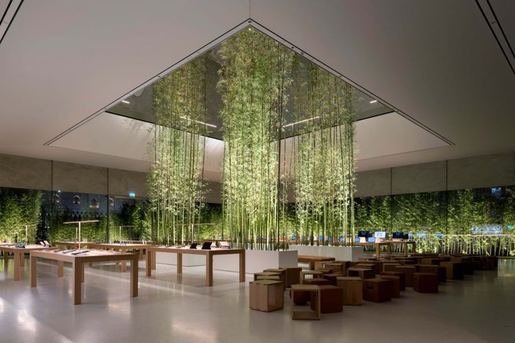 Tampak interior bangunan Apple Cotai Store yang dihiasi pohon bambu pada bagian tengah atrium.