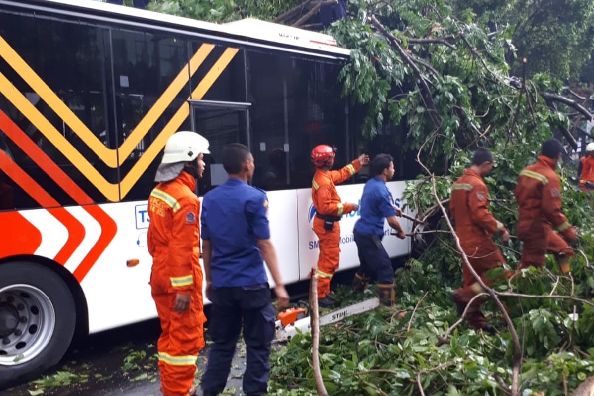 Pohon tumbang di Jalan Wahid Hasyim, Jakarta Pusat menimpa transjakarta, Kamis (22/10/2018). 