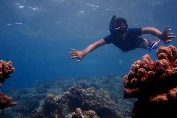 salah satu wisatawan yang sedang menikmati bahwa lau di Pulau Onolimbu Kecil, Kecamatan Idanogawo, Sumatera Utara.