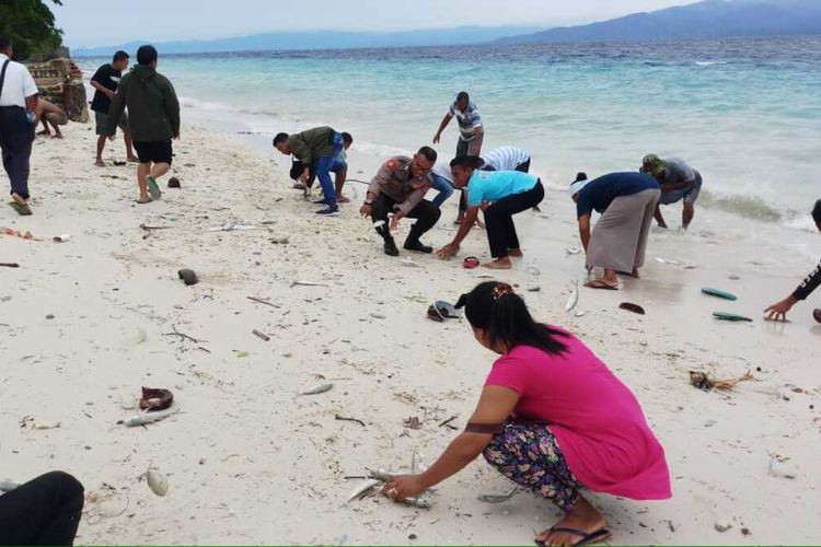 Ribuan ekor ikan terdapar di Pantai Desa Liang, Kecamatan Salahutu, Kabupaten Maluku Tengah, Minggu (15/3/2020)