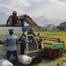 4.299 Hektare Sawah Gagal Panen Selama Banjir Demak, Produksi Beras Terancam Menurun Tahun Ini