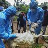 POPULER GLOBAL: India Waspadai Virus Nipah, Lebih Mematikan dari Covid-19 | Sirajuddin Haqqani Jadi Mendagri Afghanistan