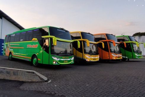 PO Tividi Luncurkan 4 Bus Baru Pakai Kelir Warna-warni