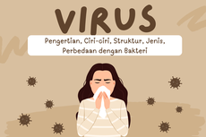 Virus: Pengertian, Ciri-ciri, Struktur, Jenis, Perbedaan dengan Bakteri