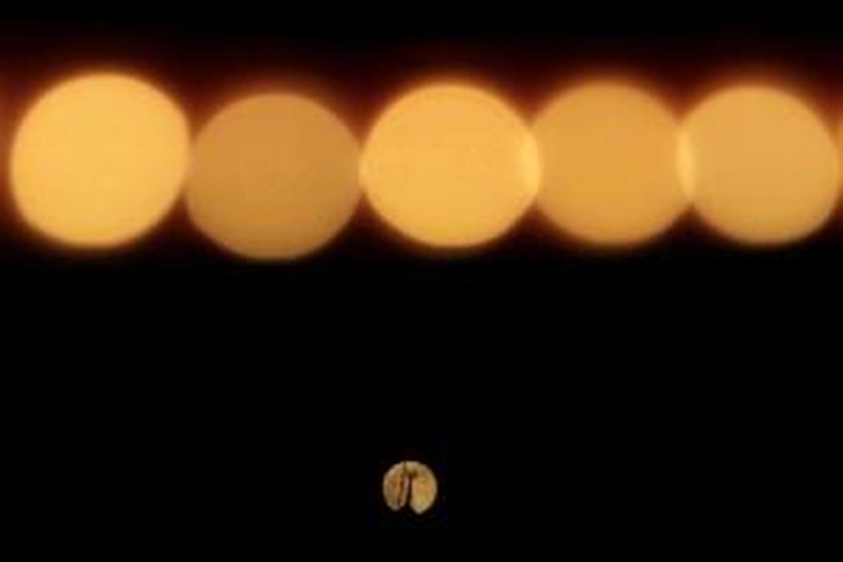 Bulan purnama naik melalui langit yang cerah melewati serangkaian lampu kuning, di Kairo, Mesir, 23 Juni 2013. Bulan yang akan mencapai tahap penuh pada Minggu, 14 persen lebih dekat ke bumi dan dikenal sebagai fenomena supermoon.